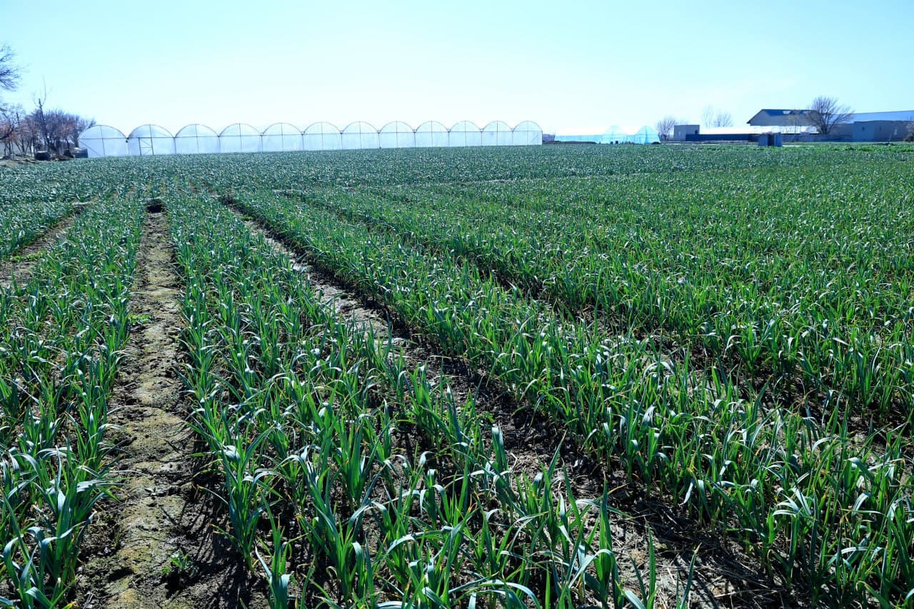 G‘ijduvon tumanida OAV vakillari ishtirokida tashkil etilgan press-tur davomida hududda amalga oshirilayotgan muhim ijtimoiy loyihalar bilan tanishildi.