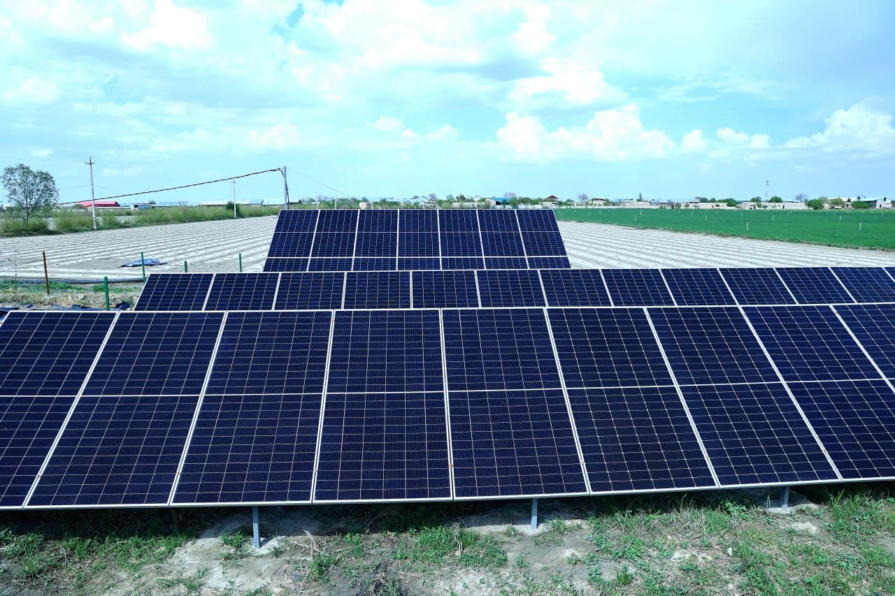 G‘ijduvonda yangi hosilga mustahkam poydevor yaratilmoqda!