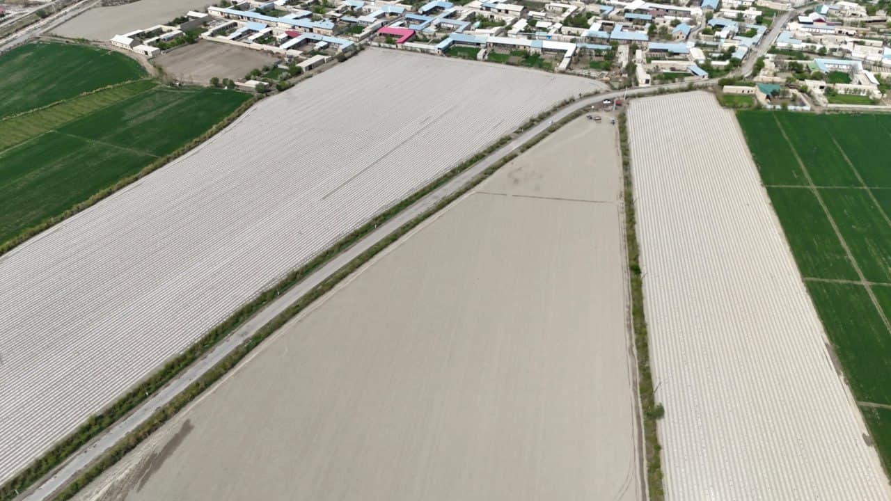 G‘ijduvonda yangi hosilga mustahkam poydevor yaratilmoqda!