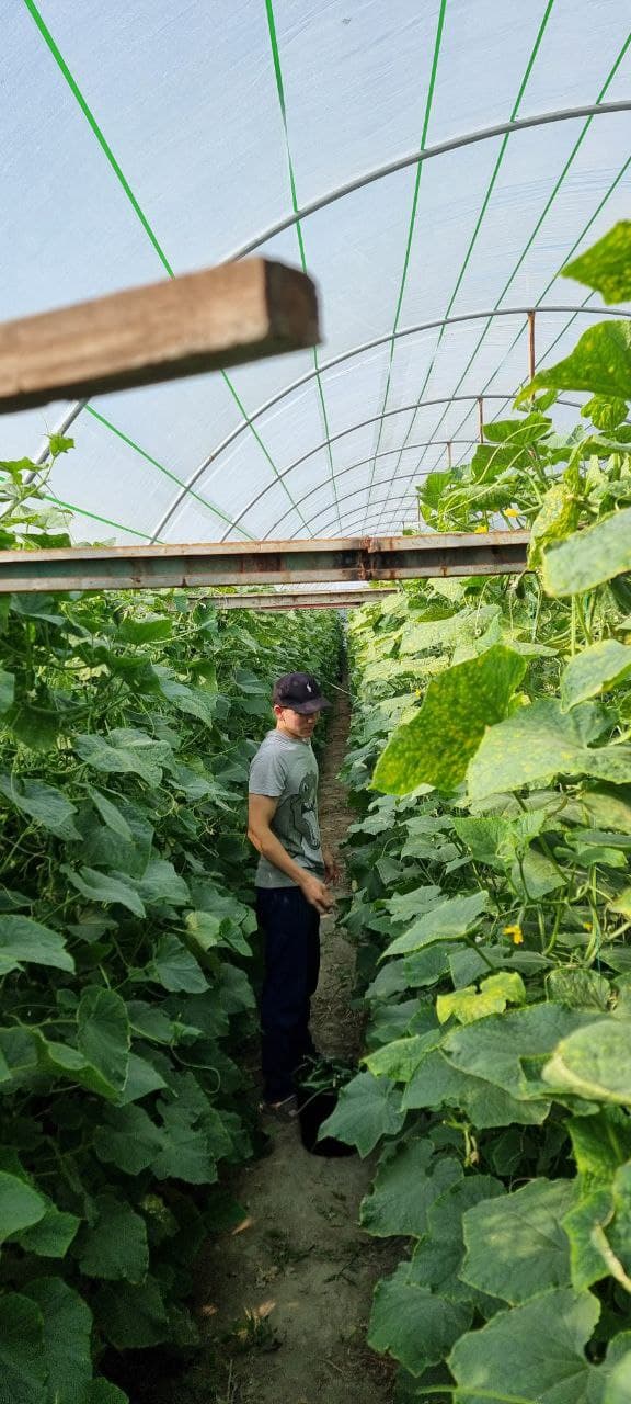 Пешку тумани Гулистон маҳалла фуқаролар йиғини, Жўгара қишлоғида яшовчи фуқаро Тошева Дилдора Эркин қизи томонидан Ўзбекистон Республикаси Президентининг ПҚ–62-сонли қарори асосида ёшлар тадбиркорлигини қўллаб-қувватлаш дастури доирасида тадбиркорлик