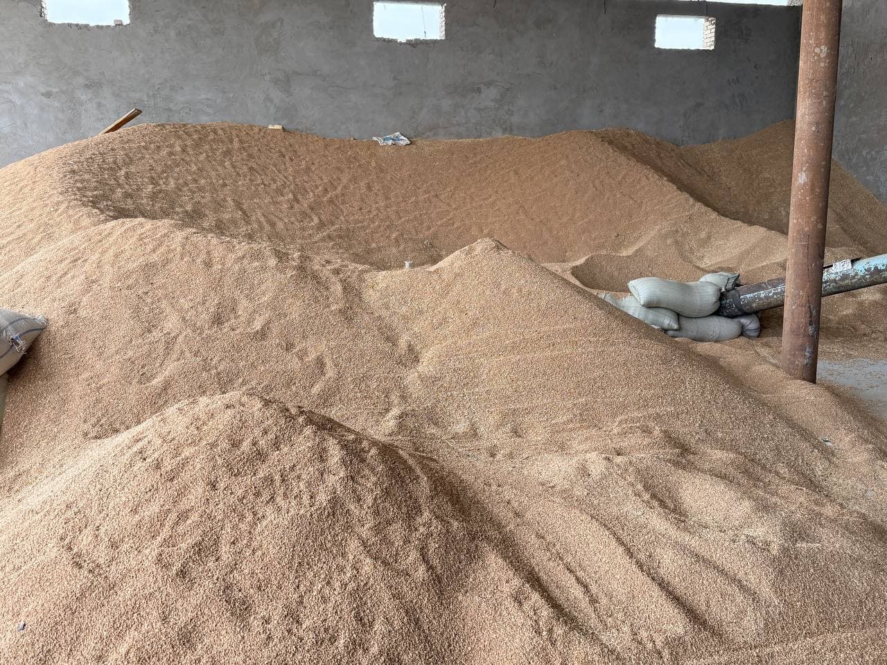 Peshku tumani Navgahon mahalla fuqarolar yig‘ini hududida faoliyat yurituvchi yakka tartibdagi tadbirkor Kamolov Ruslan Rahmatillo o‘g‘lining ishlab chiqarish loyihasi