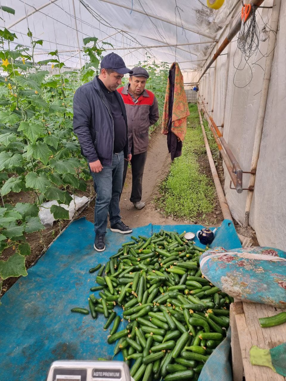Пешку тумани Гулистон маҳалла фуқаролар йиғини, Жўгара қишлоғида яшовчи фуқаро Тошева Дилдора Эркин қизи томонидан Ўзбекистон Республикаси Президентининг ПҚ–62-сонли қарори асосида ёшлар тадбиркорлигини қўллаб-қувватлаш дастури доирасида тадбиркорлик