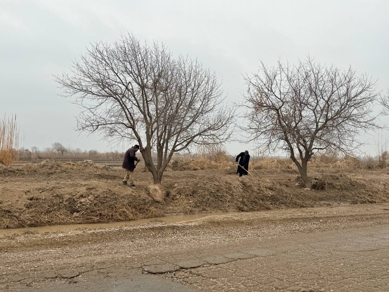 Бугун туман ҳокими Ҳ. Давлатов бошчилигида тумандаги корхона ва ташкилот раҳбарлари иштирокида ҳудудларда олиб борилаётган ободонлаштириш ва кўкаламзорлаштириш ишлари атрофлича ўрганилди.