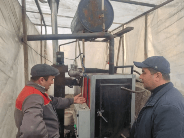 Peshku: Toshevalar oilasi 7 sotixli issiqxona xoʻjaligida moʻl hosil yetishtirmoqda