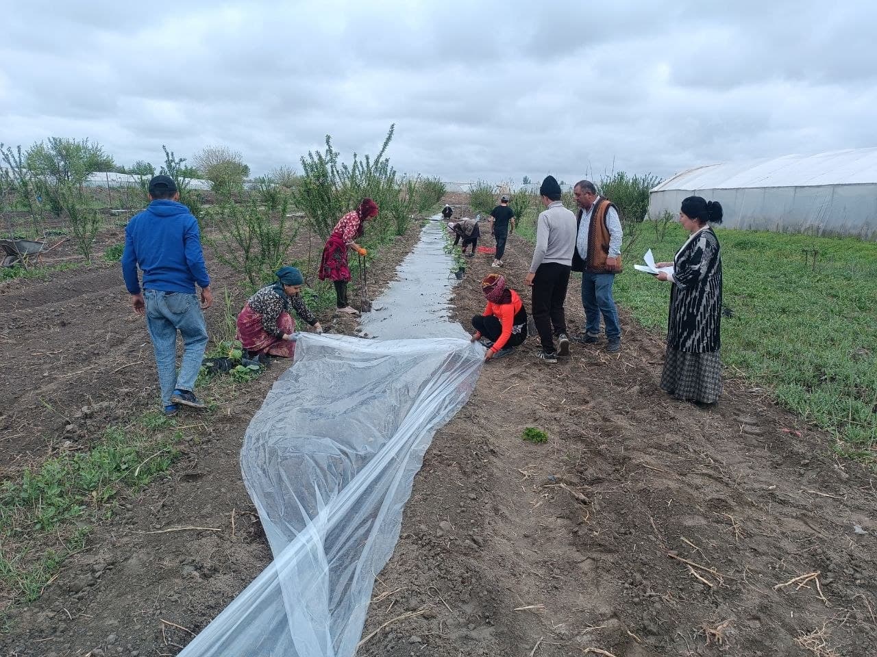 Viloyat Oila va xotin-qizlar boshqarmasi tashabbusi bilan «Mahallalarda tomorqa xo‘jaligida daromad topishni rivojlantirish hamda oziq-ovqat xavfsizligini ta’minlash» mavzusida amaliy seminar tashkil etildi.