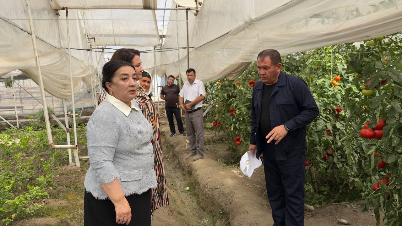 “Peshku limonchilik ravnaqi” — bandlik va farovonlik manbai