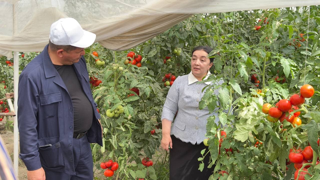 “Peshku limonchilik ravnaqi” — bandlik va farovonlik manbai
