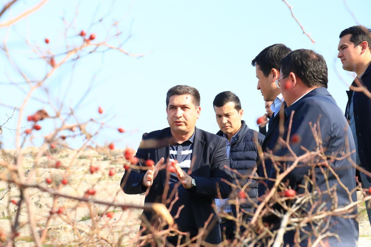 Ўзбекистон Республикаси Туризм қўмитаси раиси Абдулазиз Аққулов Булоқбоши туманига ташриф буюрди.