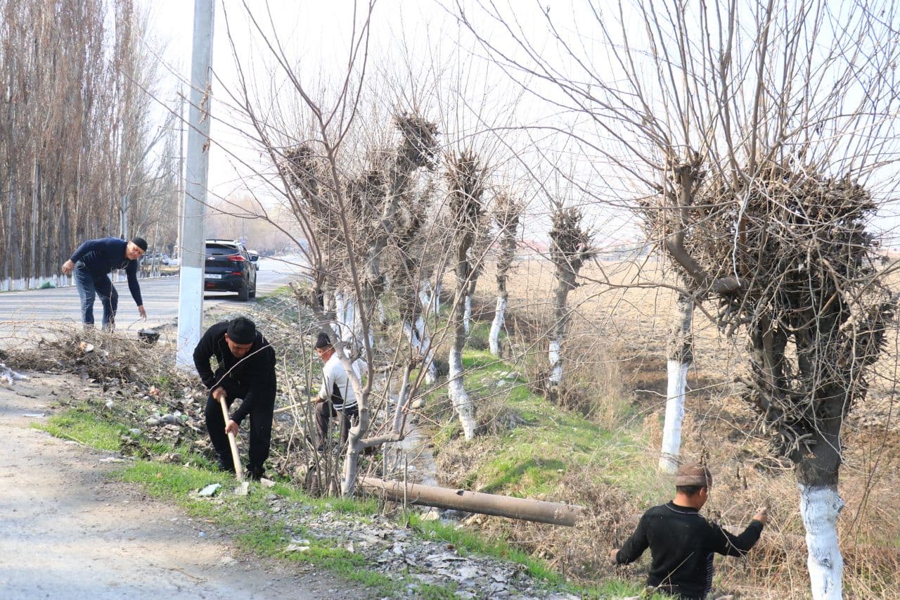 TUMANDA UMUMXALQ XAYRIYA HASHARI DAVOM ETMOQDA