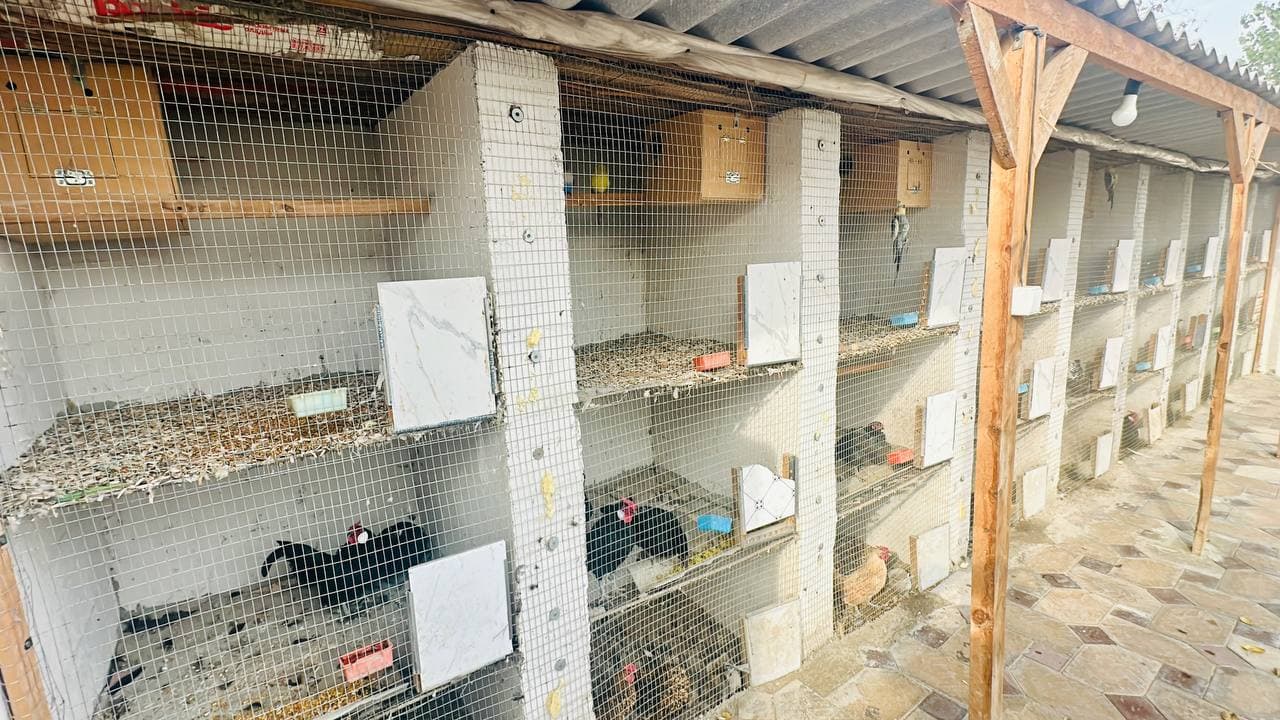 Президентимиз ташаббуси амалда