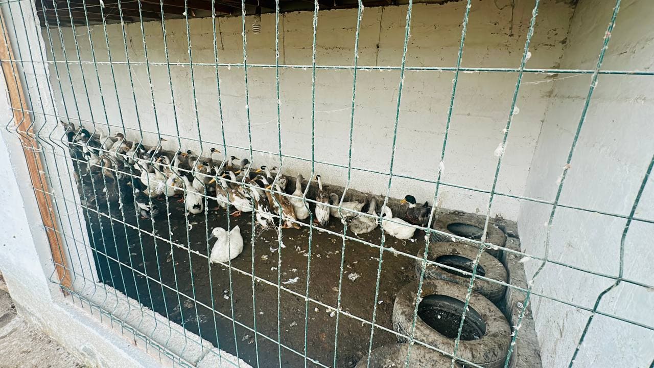 Президентимиз ташаббуси амалда