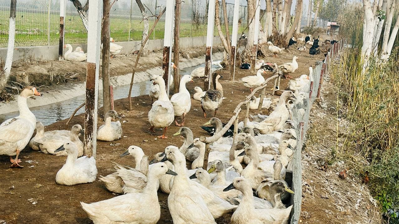 Президентимиз ташаббуси амалда