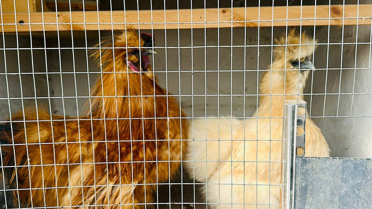 Президентимиз ташаббуси амалда