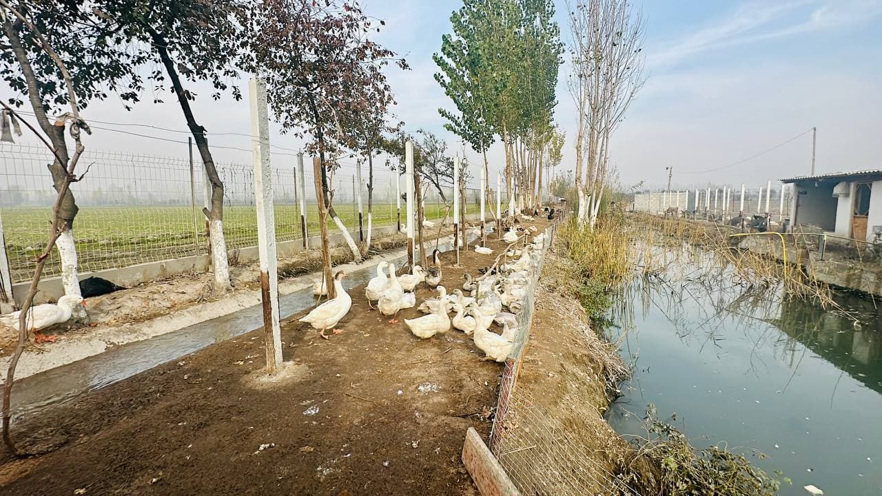 Президентимиз ташаббуси амалда