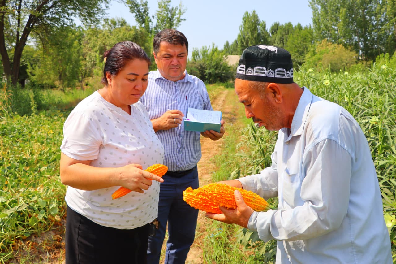“Kambag‘allikdan farovonlik sari: bamiya va hid anori yetishtirayotgan tadbirkor tajribasi”