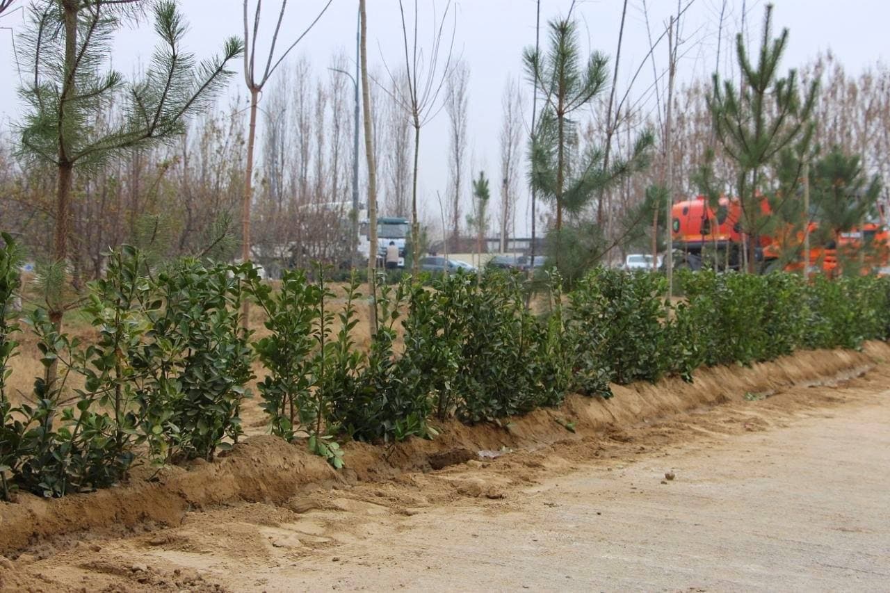Бобур шаҳрига элтувчи автомобиль йўлида қурилиш ва экологик ободонлаштириш ишлари изчил давом этмоқда.