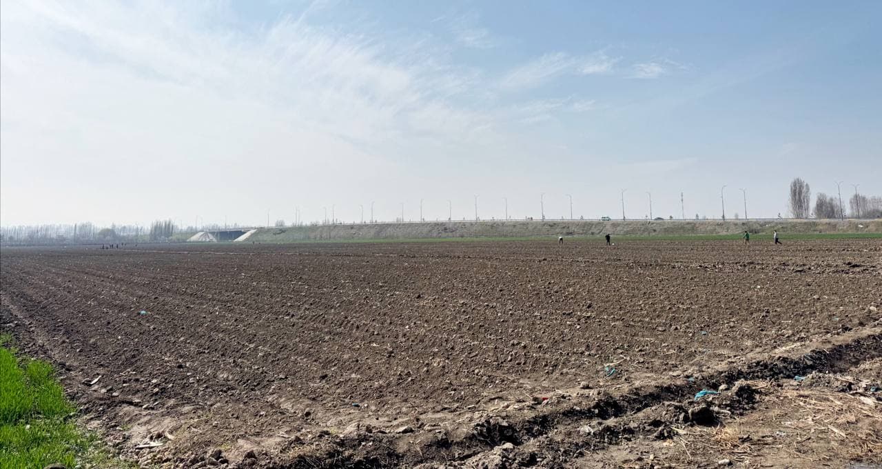 Андижон туманида “бир контур – бир маҳсулот” тамойили асосида картошка экиш ишлари амалга оширилди