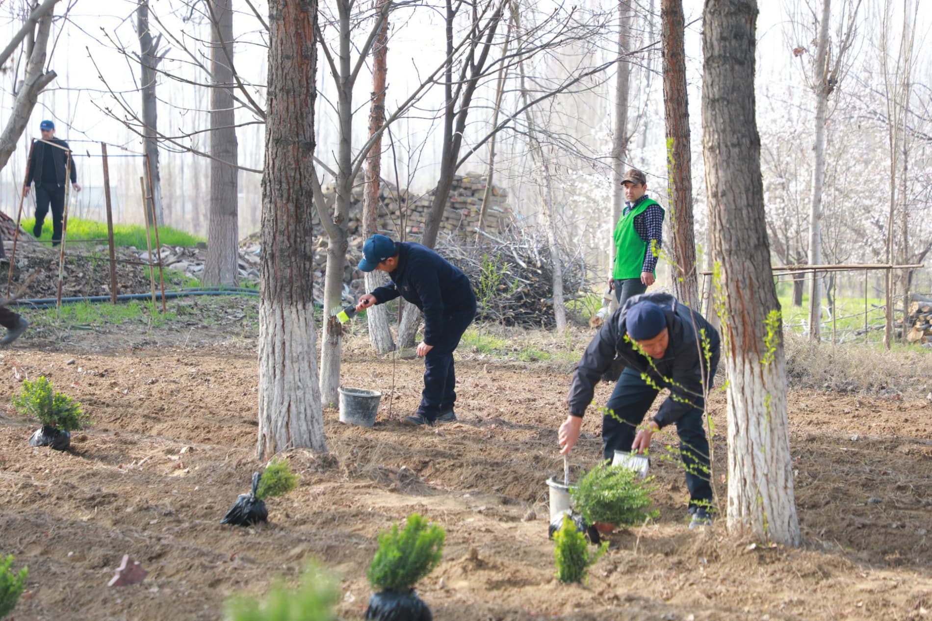 Hashar - yoshlarga yarashar