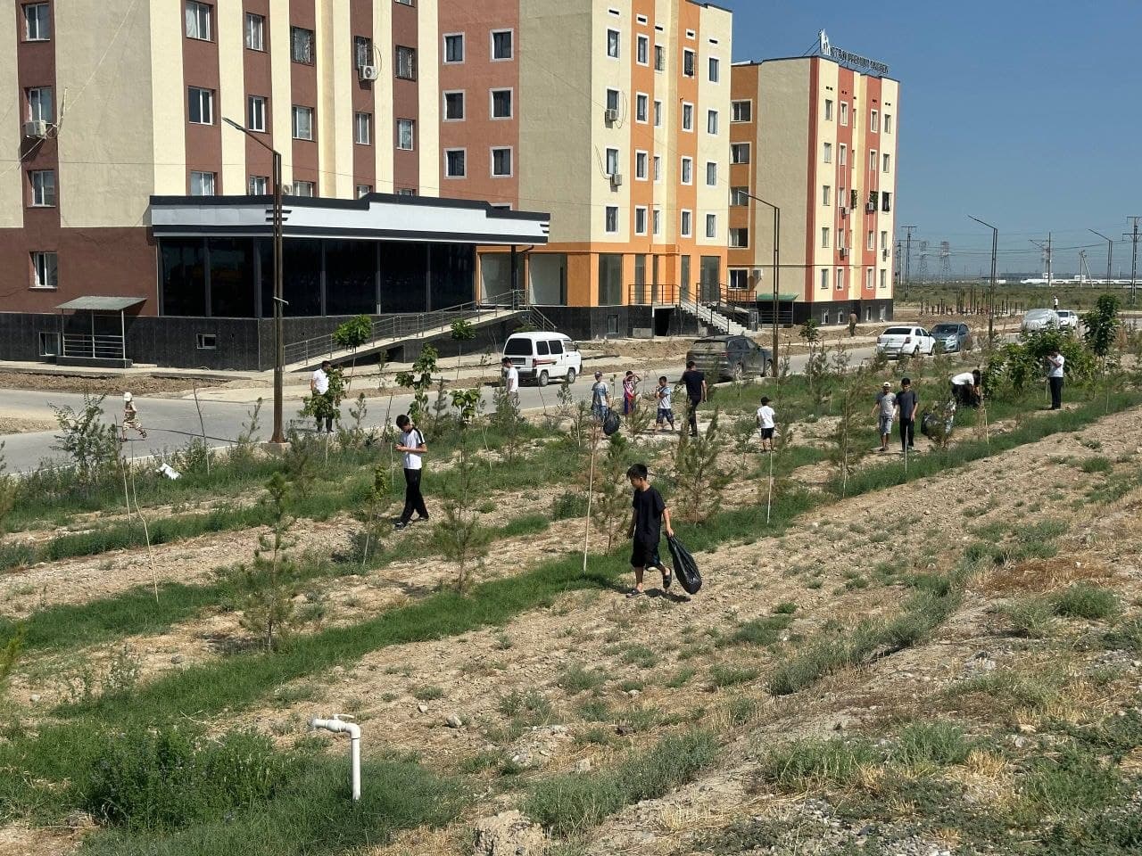 Yoshlardan ibratli tashabbus: "Plogging" aksiyasi davom etmoqda