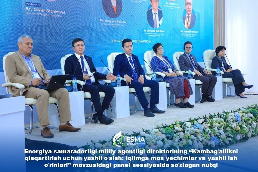 Speech by the Director of the Energy Efficiency Agency at the panel session on “Green Growth for Poverty Reduction: Climate-Resilient Solutions and Green Jobs”