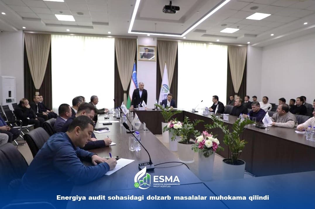 Energiya audit sohasidagi dolzarb masalalar muhokama qilindi