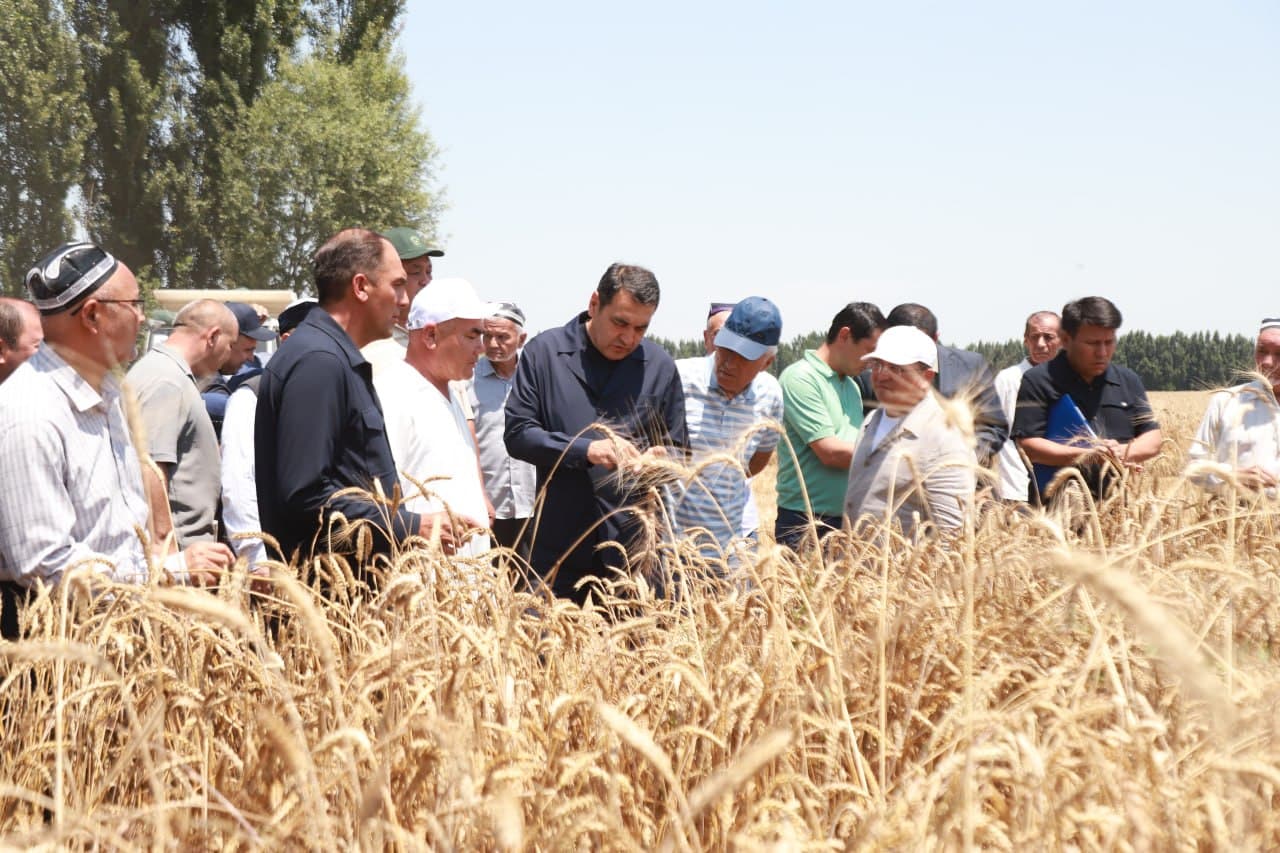 TOSHLOQ TUMANI VILOYATDA BIRINCHI BO‘LIB G‘ALLA TOPSHIRISH REJASINI BAJARDI