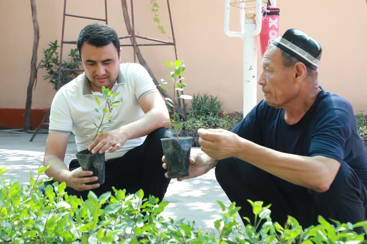 🌱 PISTA KO‘CHATIDAN DAROMAD TOPAYOTGAN TOSHLOQLIK OTA
