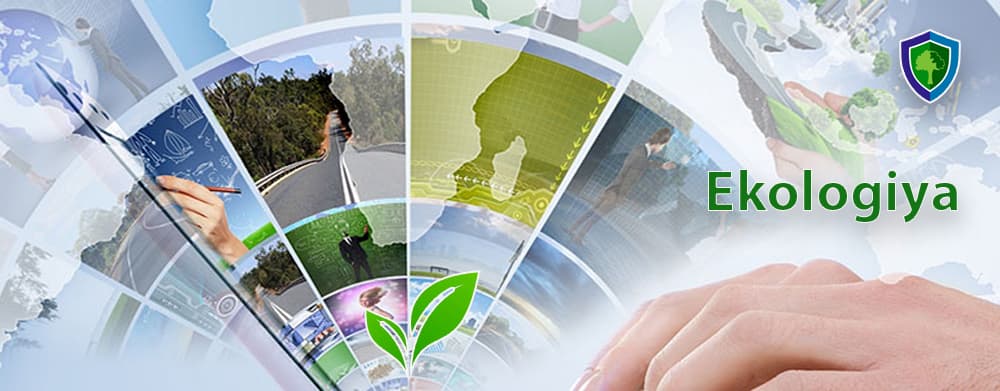 Atrof-muhit monitoringi