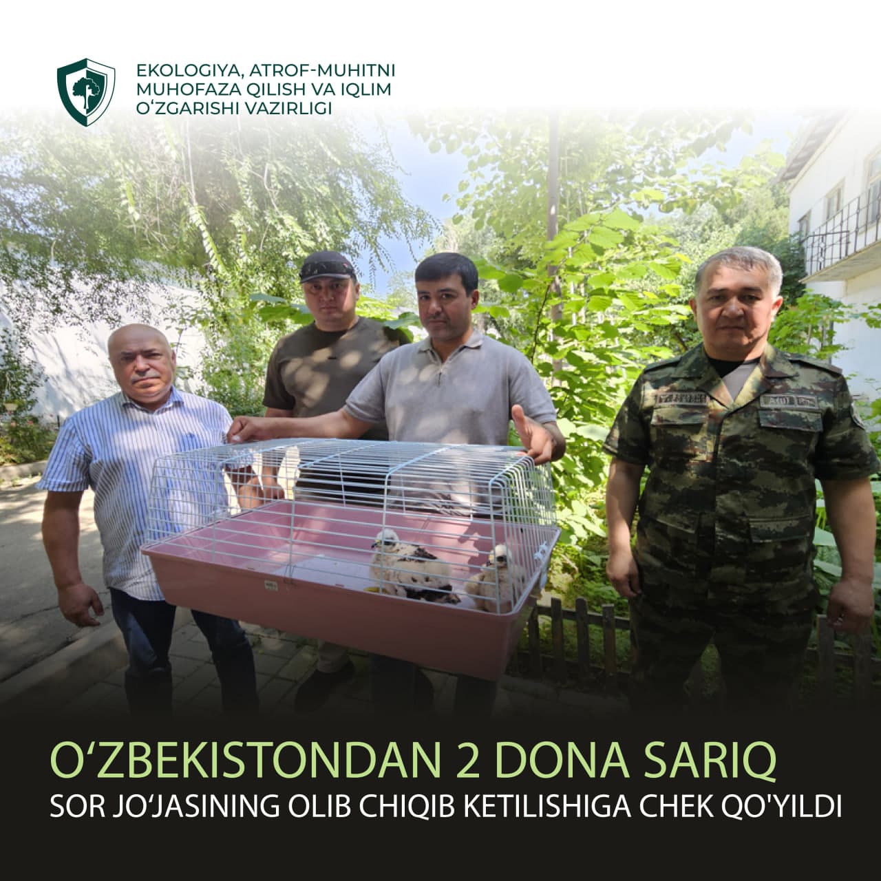 Пресечена попытка вывоза из Узбекистана двух птенцов канюка-курганника