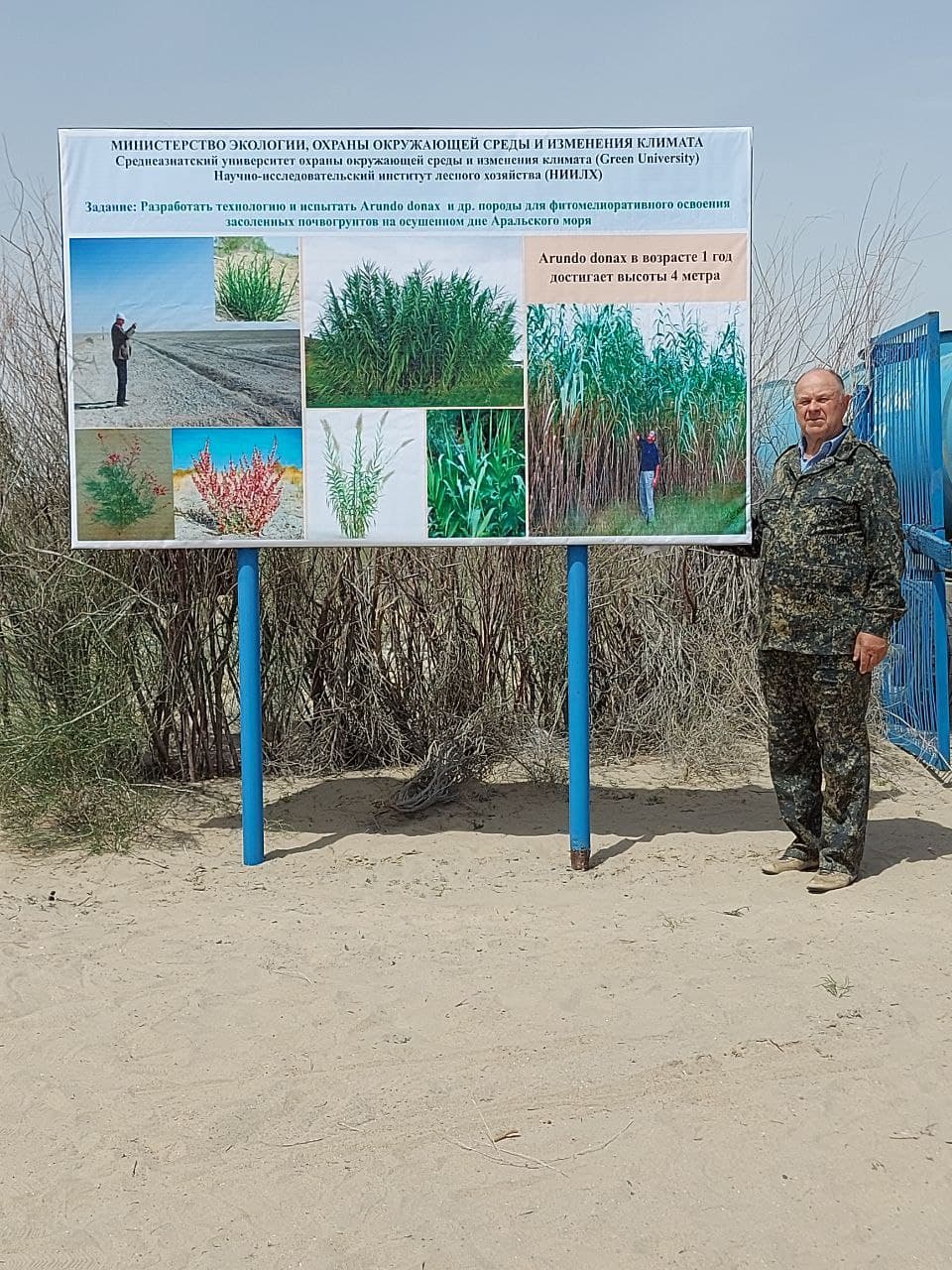 На осушенном дне Арала высаживают новый вид растений