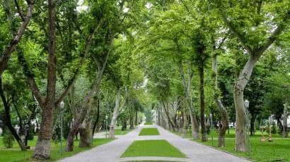 23 "Green gardens" to be created in Tashkent region
