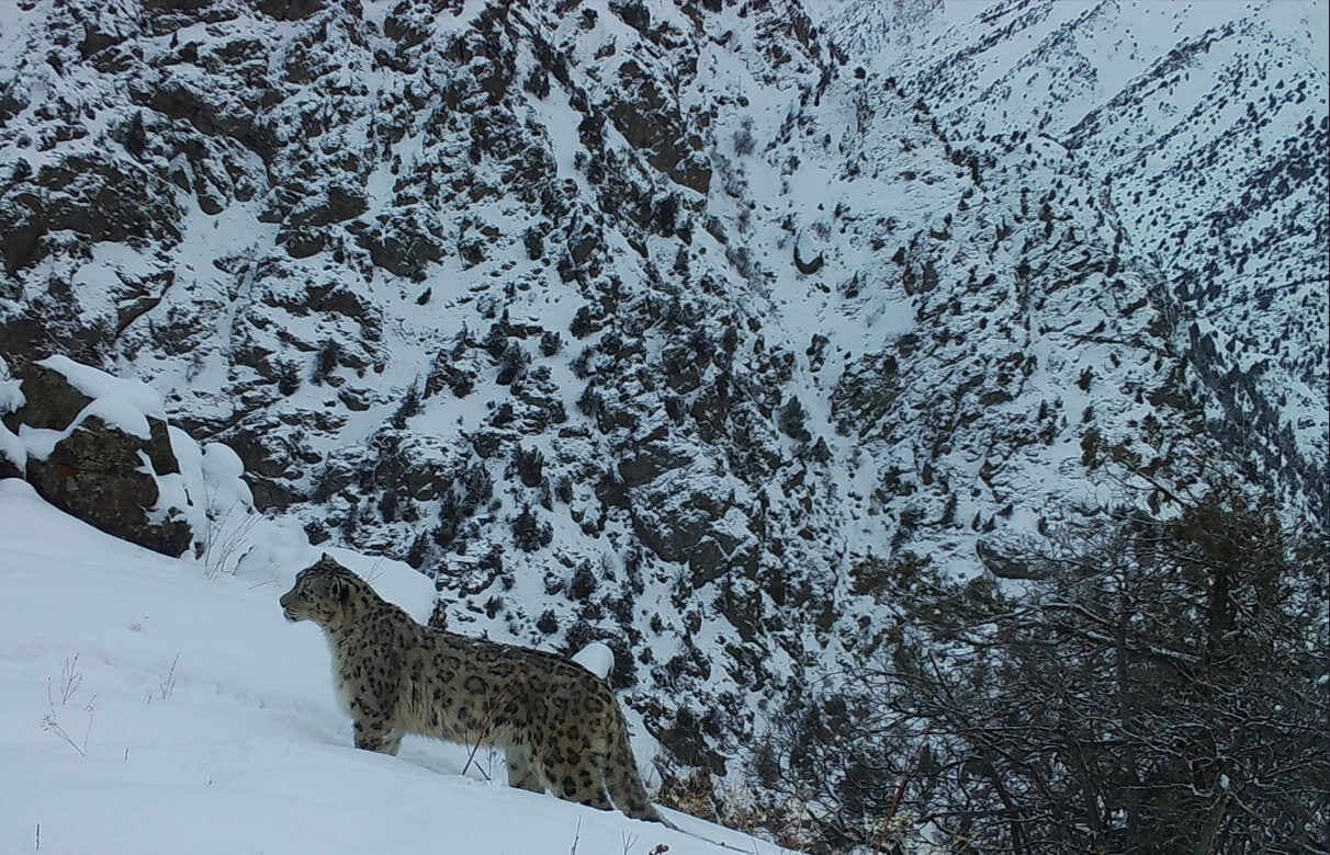 State Reserve "Gissar"