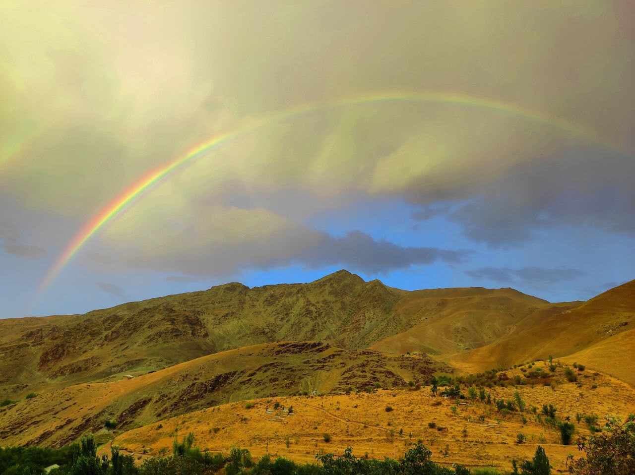 The "Nurata" State Reserve