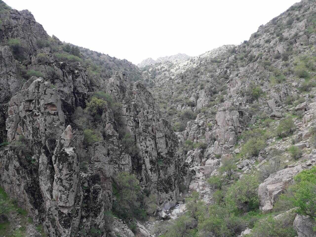 Государственный заповедник "Сурхан"