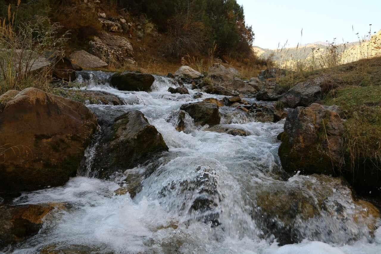 “Zomin” milliy tabiat bog‘i