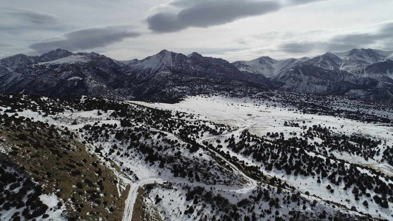 “Zomin” milliy tabiat bog‘i