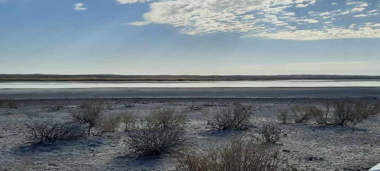 The "Central Kyzylkum" National Nature Park