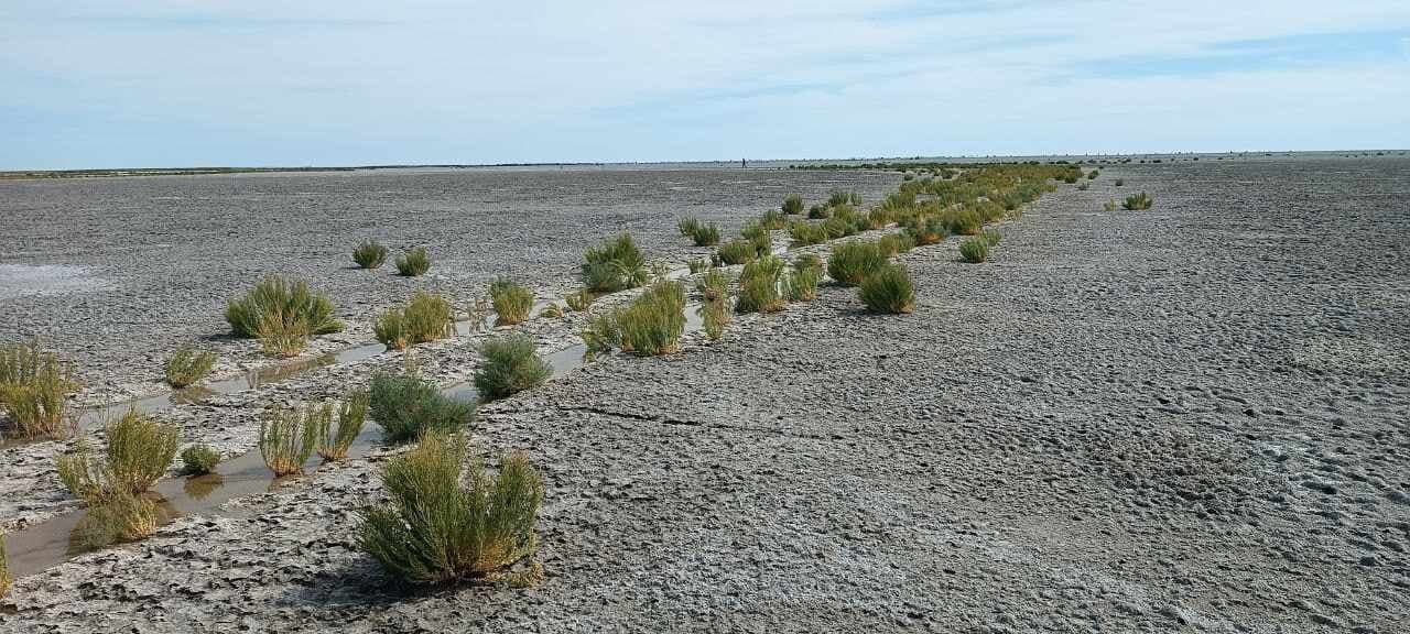 National Natural Park "Aral Kum"