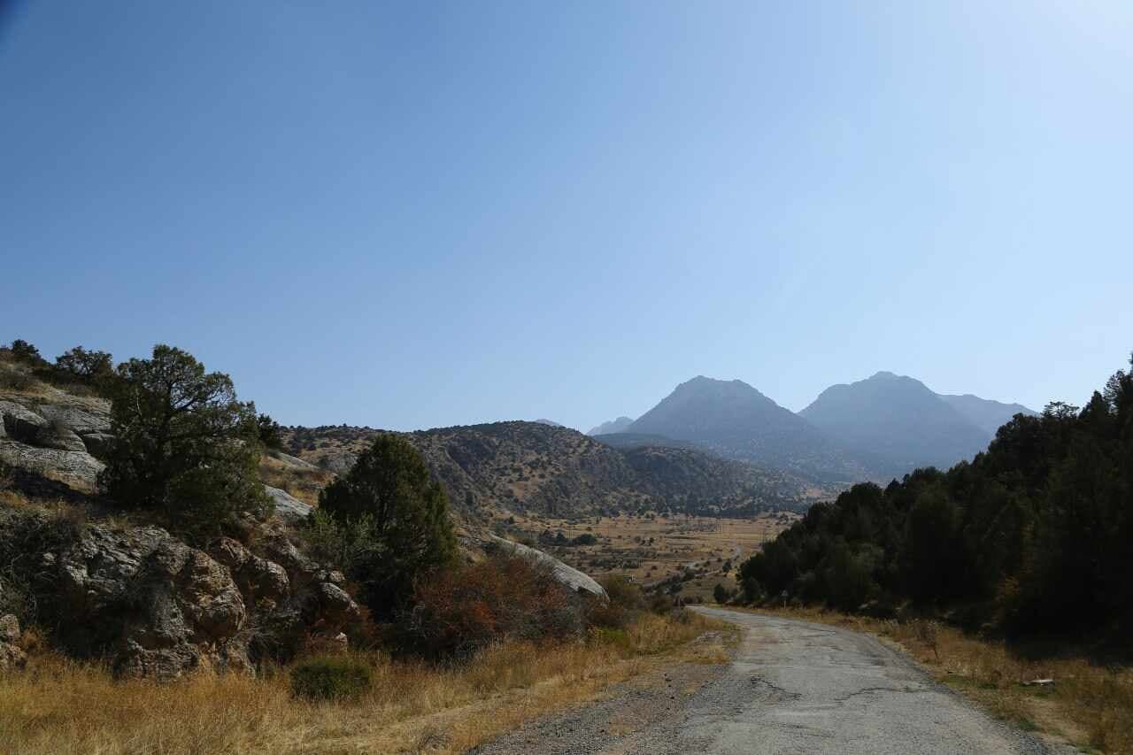 “Zomin” milliy tabiat bog‘i