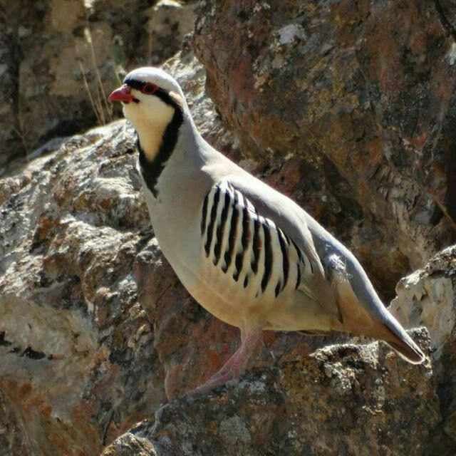 The "Yukori Tupolang" National Nature Park