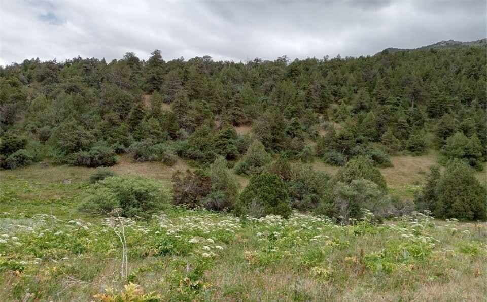 Государственный заповедник "Заамин"