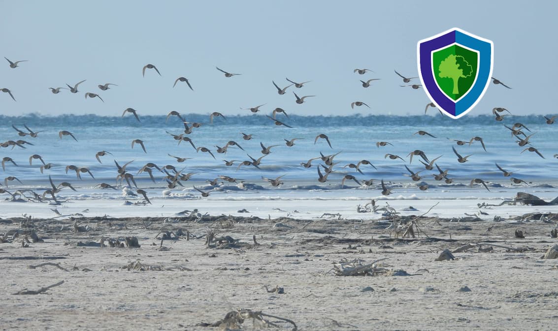 Национальный природный парк "Жанубий Устюрт"