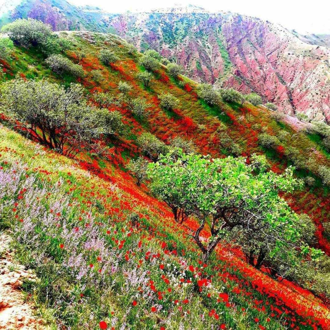 National Natural Park "Babatag"