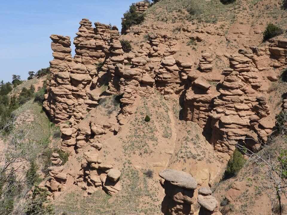 Государственный заповедник "Заамин"
