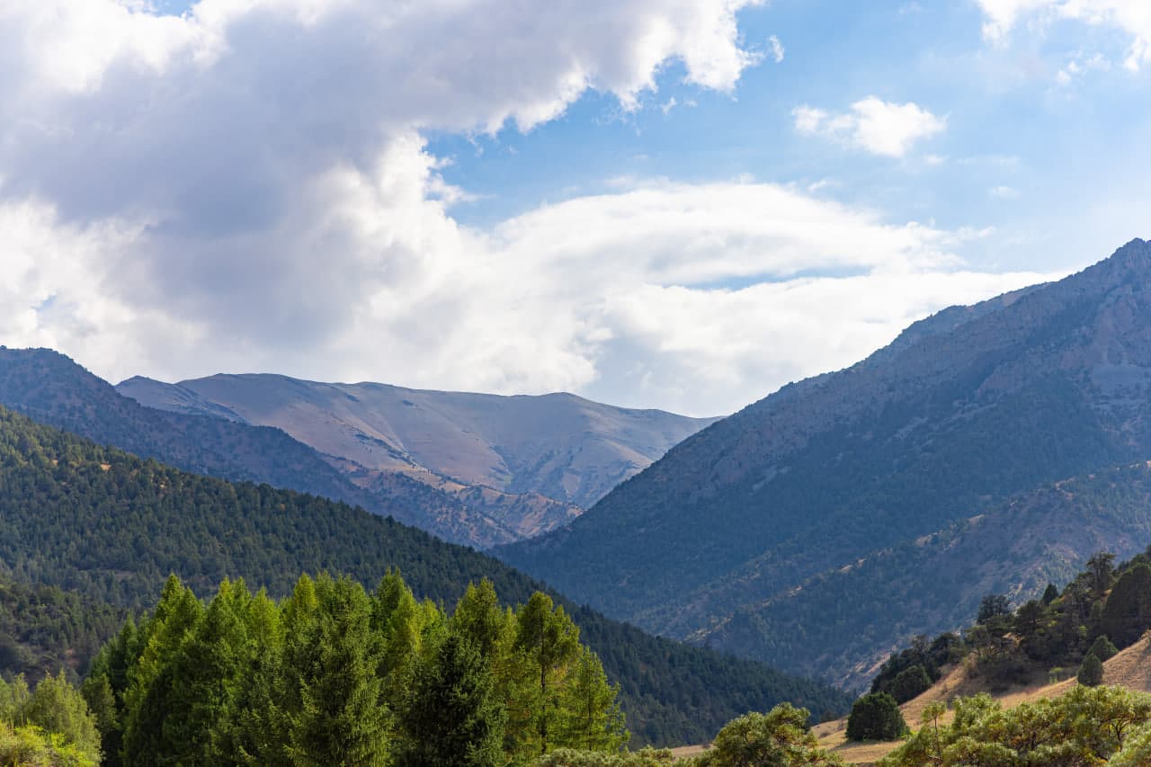 «Зааминские горы» планируют включить в Список Всемирного Национального природного наследия ЮНЕСКО