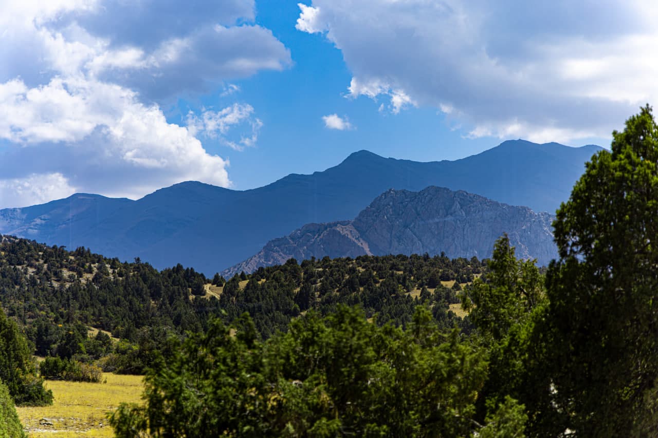 «Зааминские горы» планируют включить в Список Всемирного Национального природного наследия ЮНЕСКО