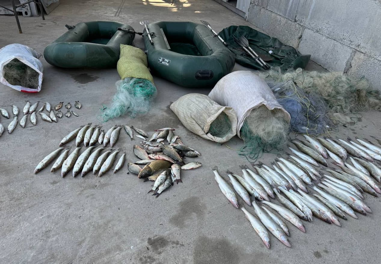 Noqonuniy baliq ovlaganlar tabiatga 41 million soʼm zarar yetkazishdi