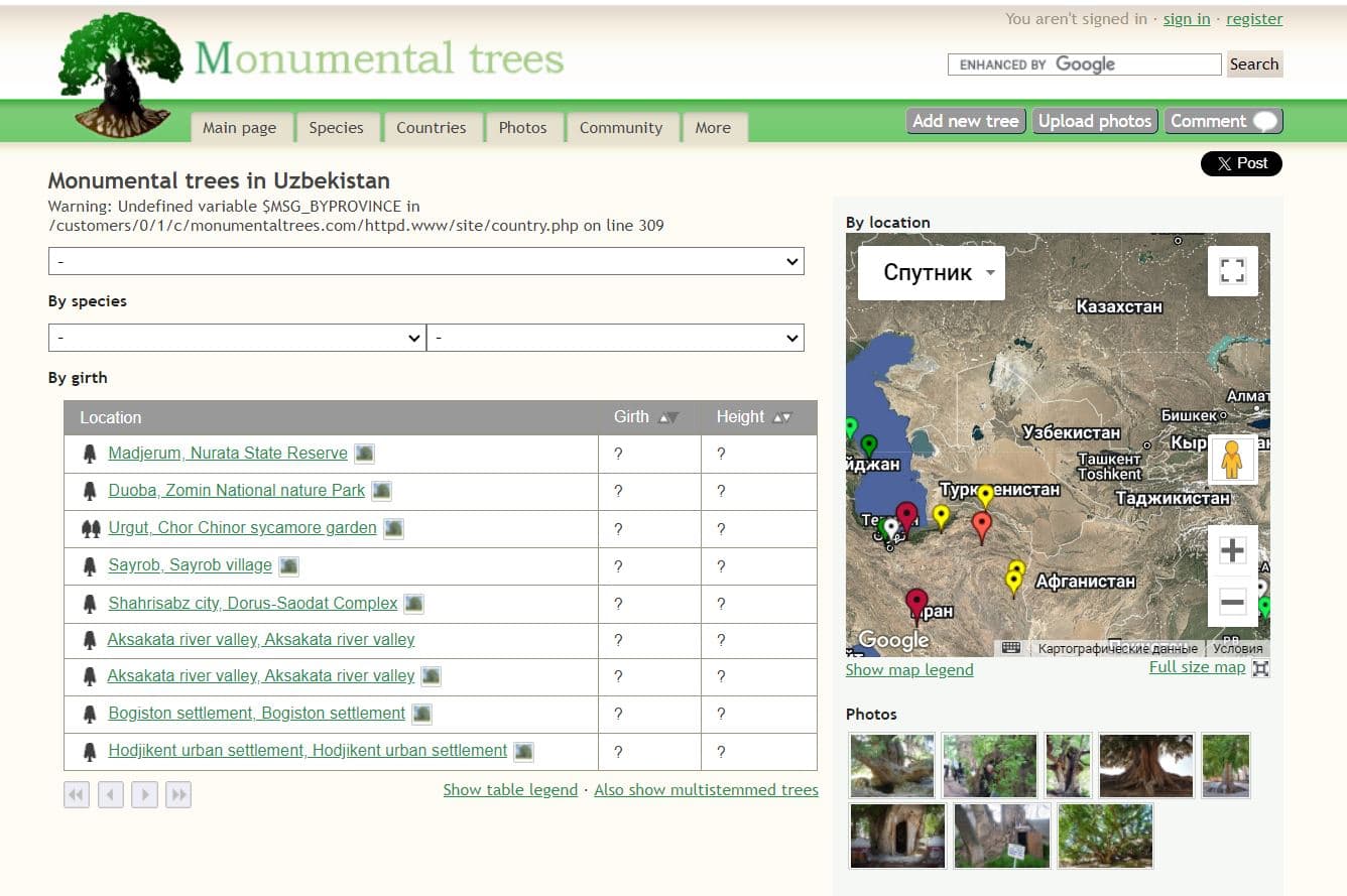Вековые деревья Узбекистана в международном списке MonumentalTrees.com