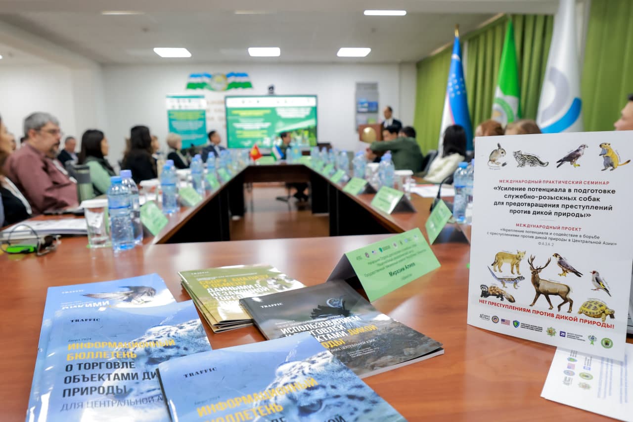 O‘zbekistonda yovvoyi tabiatni muhofaza qilish bo‘yicha tajriba oshirilmoqda