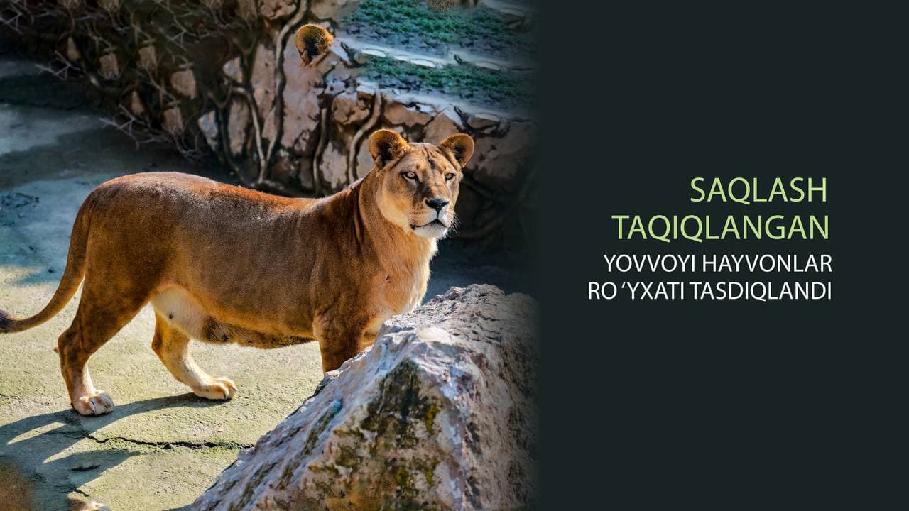 Утвержден перечень запрещенных к содержанию диких животных